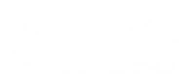 The Rich Co Inc.
